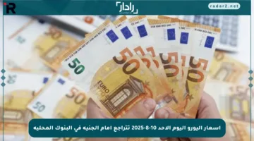 أسعار اليورو اليوم الأحد 10-8-2025 تتراجع أمام الجنيه في البنوك المحلية